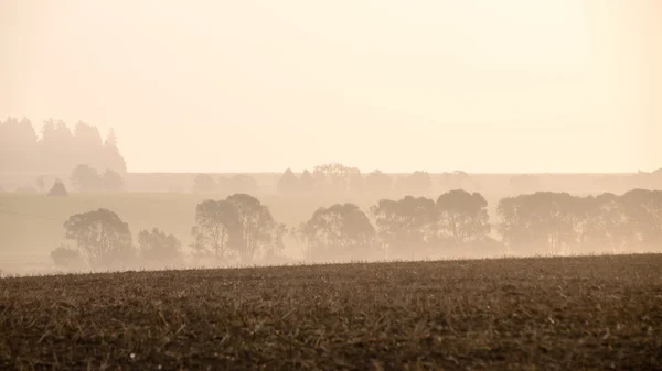Захід сонця над полями в тумані — стокове фото