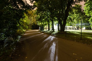 şehir gece sokaklarda