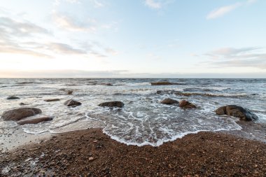 Fırtına geniş dalga Baltık Denizi kıyısında