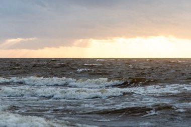 Fırtına geniş dalga Baltık Denizi kıyısında