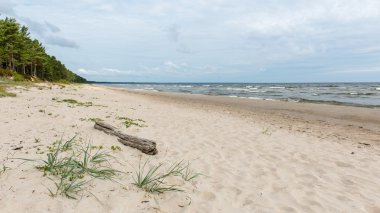 Baltık Denizi kıyısında dalgaları