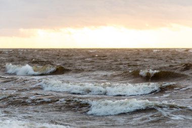Fırtına geniş dalga Baltık Denizi kıyısında