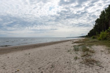 Baltık Denizi kıyısında dalgaları