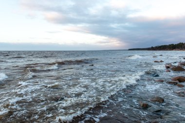 Fırtına geniş dalga Baltık Denizi kıyısında