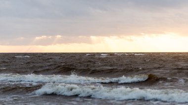 Fırtına geniş dalga Baltık Denizi kıyısında