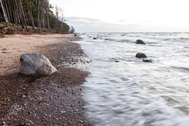 Fırtına geniş dalga Baltık Denizi kıyısında