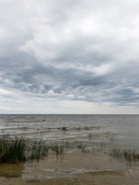 Baltık Denizi kıyısında dalgaları