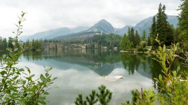 Sakin göl su yansımalar