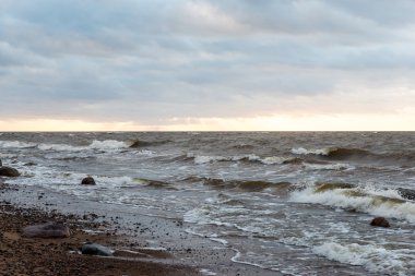 Fırtına geniş dalga Baltık Denizi kıyısında