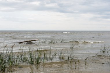 Baltık Denizi kıyısında dalgaları
