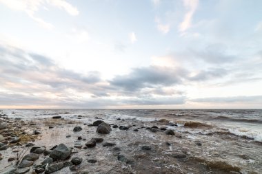 Fırtına geniş dalga Baltık Denizi kıyısında