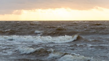 Fırtına geniş dalga Baltık Denizi kıyısında
