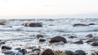 Fırtına geniş dalga Baltık Denizi kıyısında
