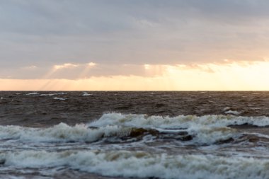 Fırtına geniş dalga Baltık Denizi kıyısında