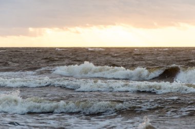 Fırtına geniş dalga Baltık Denizi kıyısında