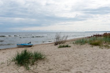 Baltık Denizi kıyısında dalgaları