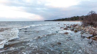 Fırtına geniş dalga Baltık Denizi kıyısında