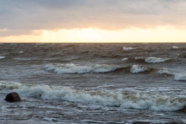 Fırtına geniş dalga Baltık Denizi kıyısında