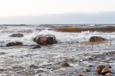 Fırtına geniş dalga Baltık Denizi kıyısında