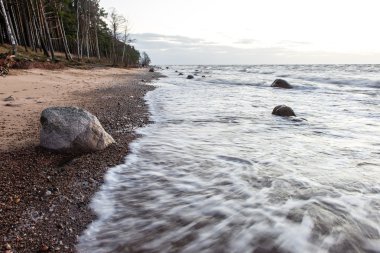 Fırtına geniş dalga Baltık Denizi kıyısında