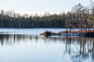 andscape donmuş bitkiler ve hoar-frost