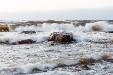 Fırtına geniş dalga Baltık Denizi kıyısında