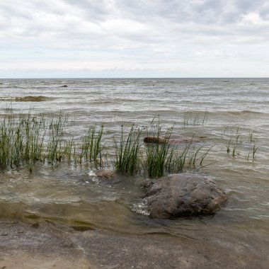 Baltık Denizi kıyısında dalgaları