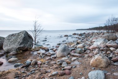 Fırtına geniş dalga Baltık Denizi kıyısında
