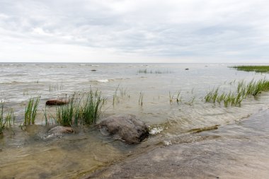 Baltık Denizi kıyısında dalgaları