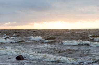 Fırtına geniş dalga Baltık Denizi kıyısında