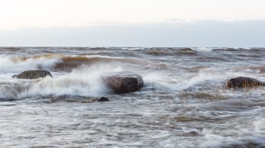 Fırtına geniş dalga Baltık Denizi kıyısında