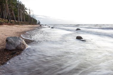 Fırtına geniş dalga Baltık Denizi kıyısında