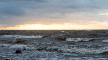 Fırtına geniş dalga Baltık Denizi kıyısında