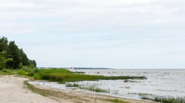 Baltık Denizi kıyısında dalgaları