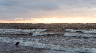 Fırtına geniş dalga Baltık Denizi kıyısında