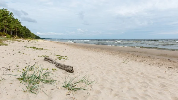 Baltık Denizi kıyısında dalgaları