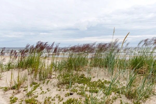 Golven op de kust van de Baltische Zee — Stockfoto