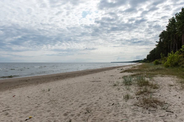 Baltık Denizi kıyısında dalgaları