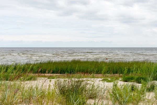 Хвиль на березі Балтійського моря — стокове фото