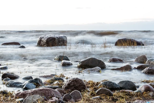 Tempête grande vague sur le rivage de la mer Baltique — Photo