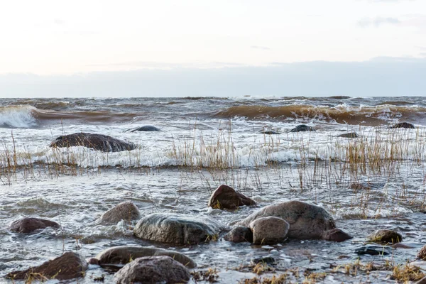 Storm stor våg på stranden av Östersjön — Stockfoto