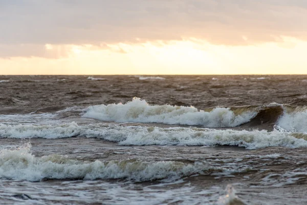 Fırtına geniş dalga Baltık Denizi kıyısında