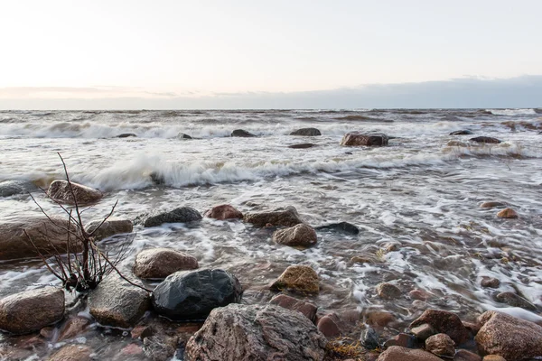 Tempête grande vague sur le rivage de la mer Baltique — Photo