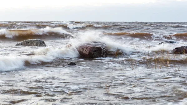 Tempête grande vague sur le rivage de la mer Baltique — Photo