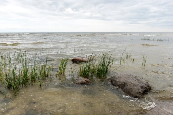 Golven op de kust van de Baltische Zee — Stockfoto