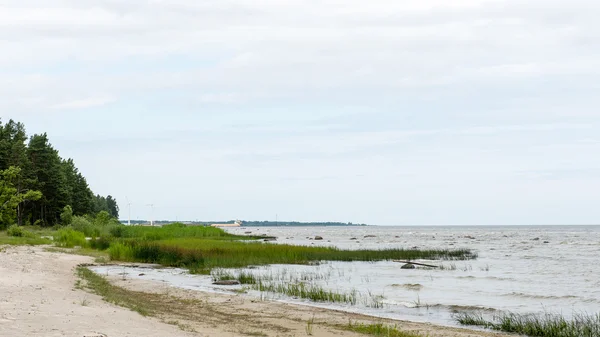 Wellen am Ufer der Ostsee — Stockfoto