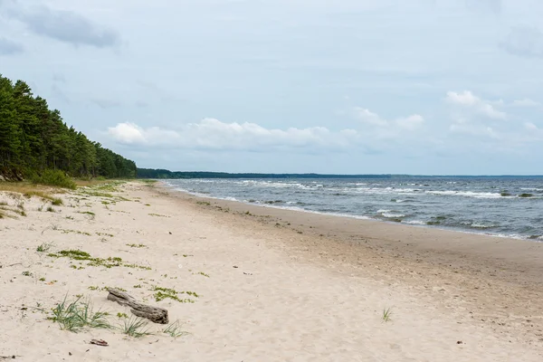 Vågor på stranden av Östersjön — Stockfoto
