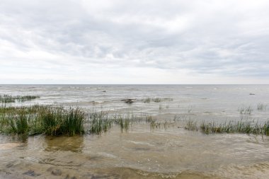 Baltık Denizi kıyısında dalgaları