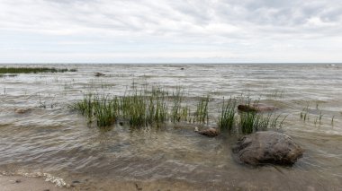 Baltık Denizi kıyısında dalgaları