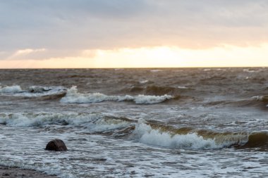 Fırtına geniş dalga Baltık Denizi kıyısında